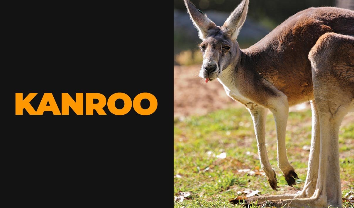 kanroo