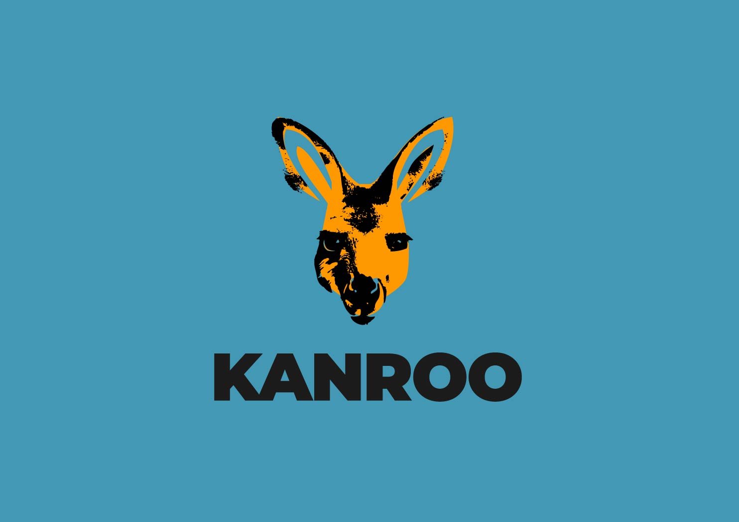 Proyecto Kanroo